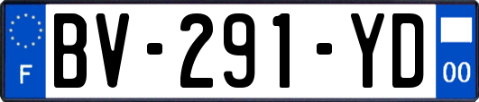 BV-291-YD