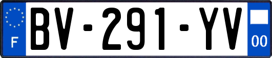 BV-291-YV