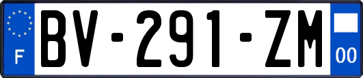 BV-291-ZM