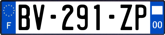 BV-291-ZP