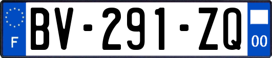 BV-291-ZQ