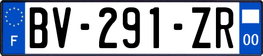 BV-291-ZR