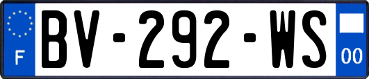 BV-292-WS