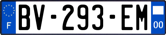 BV-293-EM