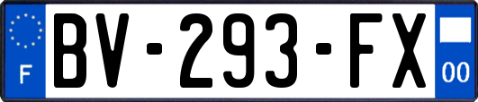BV-293-FX