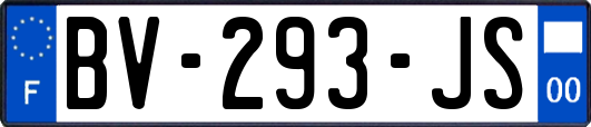 BV-293-JS