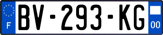 BV-293-KG