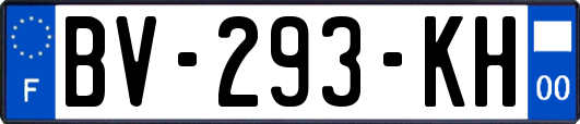 BV-293-KH