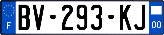 BV-293-KJ