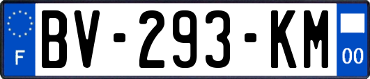 BV-293-KM