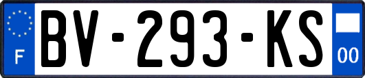 BV-293-KS
