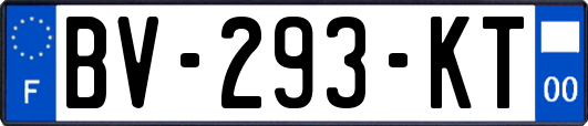 BV-293-KT