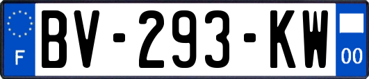 BV-293-KW