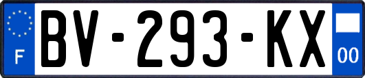 BV-293-KX