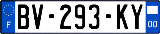 BV-293-KY