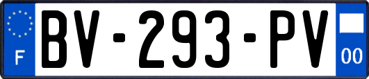 BV-293-PV