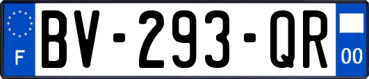 BV-293-QR