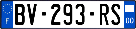 BV-293-RS