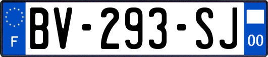 BV-293-SJ