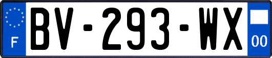 BV-293-WX