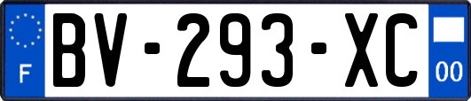BV-293-XC