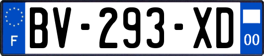 BV-293-XD