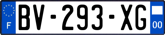 BV-293-XG