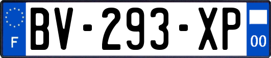 BV-293-XP