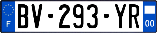 BV-293-YR