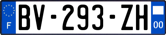 BV-293-ZH