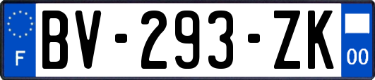 BV-293-ZK