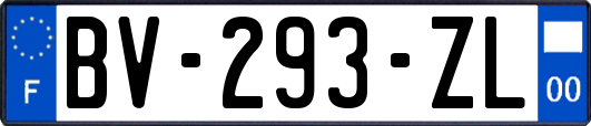 BV-293-ZL