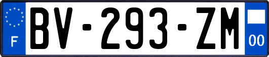 BV-293-ZM