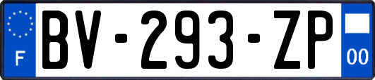 BV-293-ZP