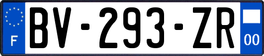 BV-293-ZR