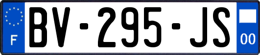 BV-295-JS