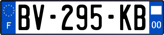 BV-295-KB