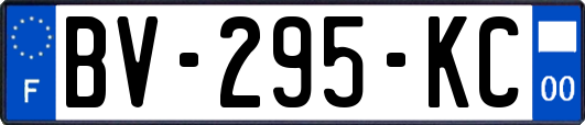 BV-295-KC