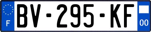 BV-295-KF