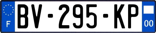 BV-295-KP