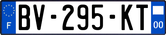 BV-295-KT