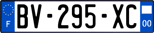 BV-295-XC