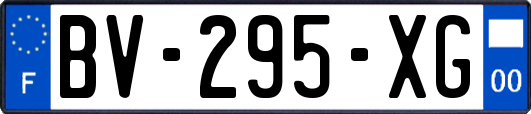 BV-295-XG