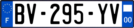 BV-295-YV