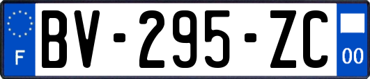 BV-295-ZC