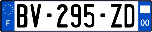 BV-295-ZD