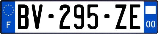 BV-295-ZE