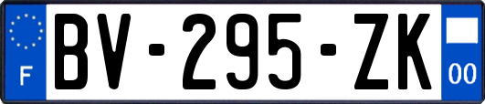 BV-295-ZK