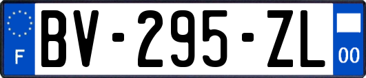 BV-295-ZL