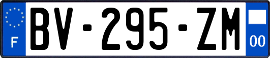 BV-295-ZM